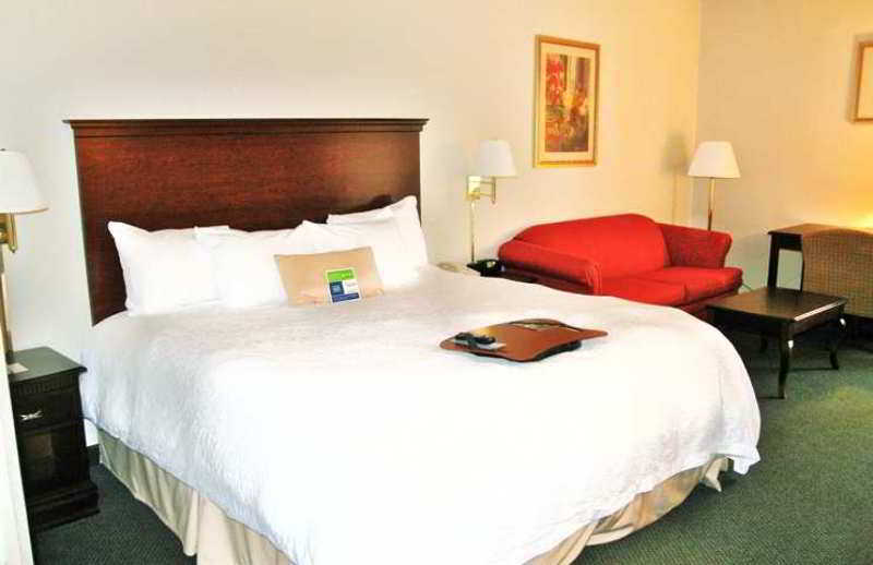Hampton Inn Selinsgrove/Shamokin Dam Pokój zdjęcie